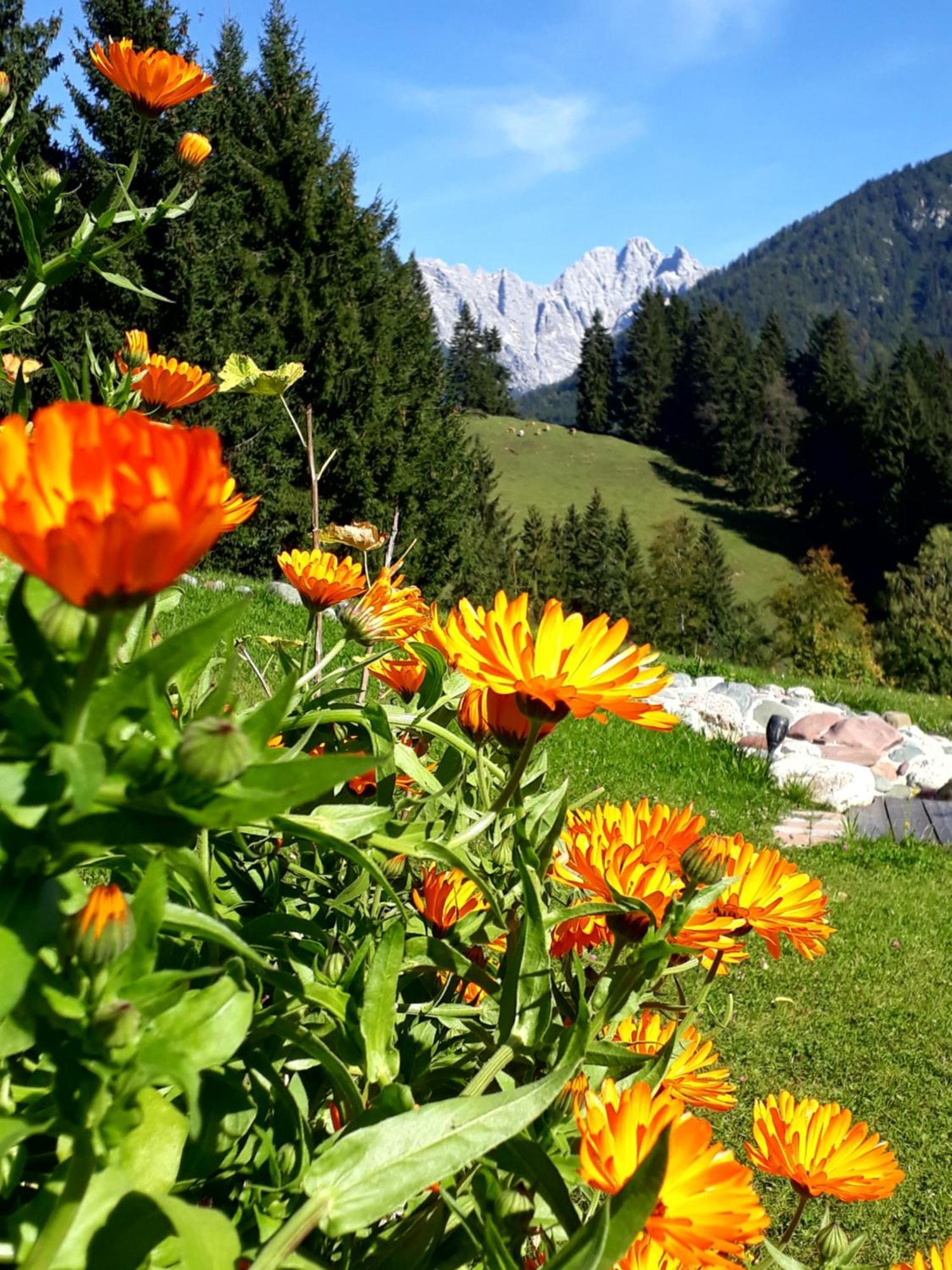 Ferienhof Obertenn Hochfilzen Exterior photo